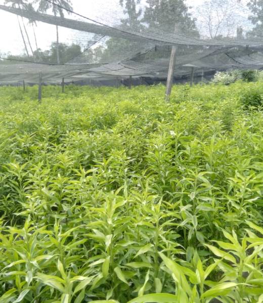 WhatsApp Image 2024-04-23 at 06.24.13